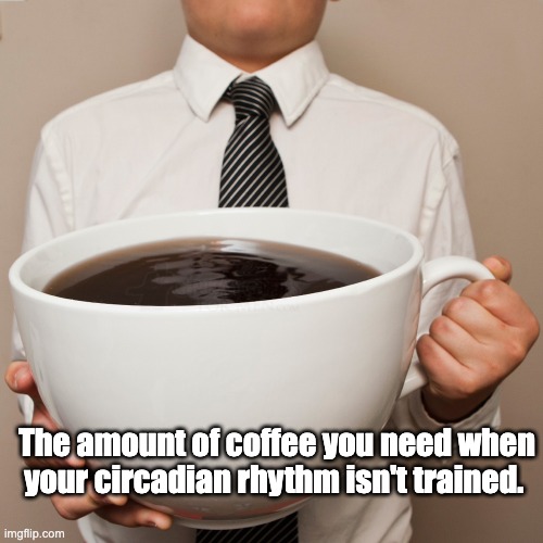 coffee cup | The amount of coffee you need when your circadian rhythm isn't trained. | image tagged in coffee cup | made w/ Imgflip meme maker