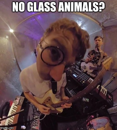 No Glass Animals? | NO GLASS ANIMALS? | image tagged in music,no bitches | made w/ Imgflip meme maker
