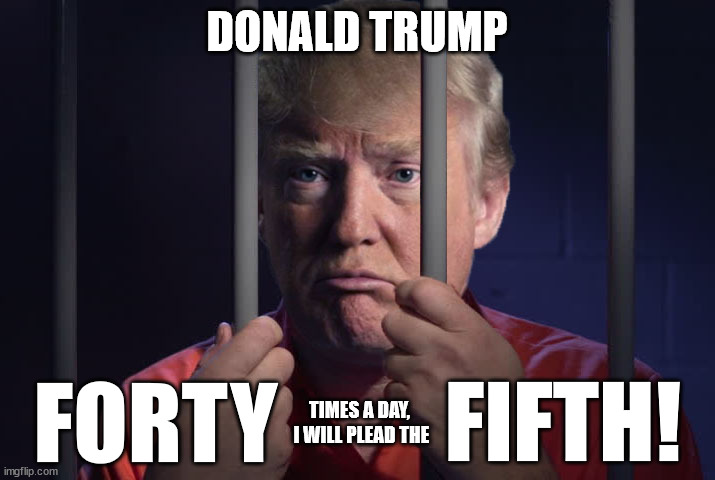Trump Prison | DONALD TRUMP; FORTY; FIFTH! TIMES A DAY,
 I WILL PLEAD THE | image tagged in trump prison | made w/ Imgflip meme maker