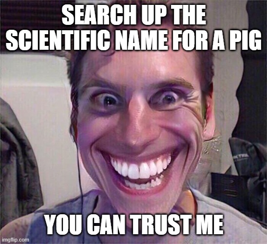 Jerma Sus | SEARCH UP THE SCIENTIFIC NAME FOR A PIG; YOU CAN TRUST ME | image tagged in jerma sus | made w/ Imgflip meme maker