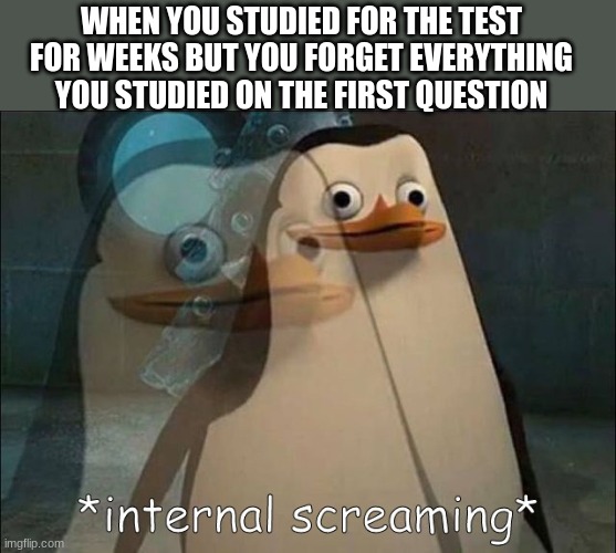 Private Internal Screaming | WHEN YOU STUDIED FOR THE TEST FOR WEEKS BUT YOU FORGET EVERYTHING YOU STUDIED ON THE FIRST QUESTION | image tagged in private internal screaming | made w/ Imgflip meme maker