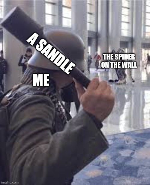 German soldier throwing grenade at furries | A SANDLE; THE SPIDER ON THE WALL; ME | image tagged in german soldier throwing grenade at furries | made w/ Imgflip meme maker