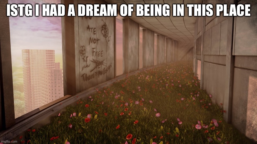 ISTG I HAD A DREAM OF BEING IN THIS PLACE | made w/ Imgflip meme maker