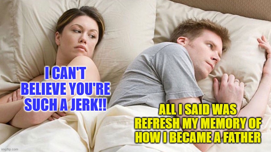 couple in bed | I CAN'T BELIEVE YOU'RE SUCH A JERK!! ALL I SAID WAS REFRESH MY MEMORY OF HOW I BECAME A FATHER | image tagged in couple in bed | made w/ Imgflip meme maker
