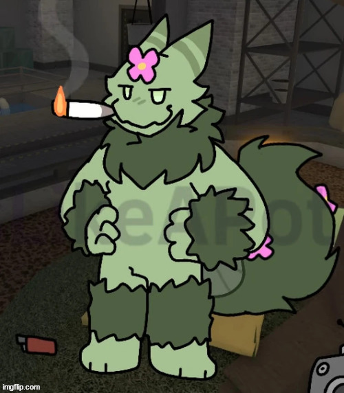 weed cat 2 | made w/ Imgflip meme maker