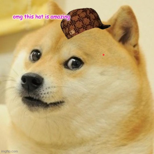Doge Meme | omg this hat is amazing | image tagged in memes,doge | made w/ Imgflip meme maker