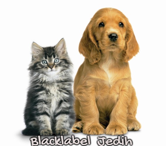 Mother's Day  pets animals cats dogs adoption | Blacklabel  Jedih | image tagged in mother's day pets animals cats dogs adoption,slavic,blacklabel jedih,freddie fingaz,bars over bars | made w/ Imgflip meme maker