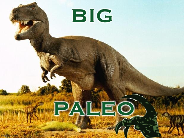 T-Rex | BIG PALEO | image tagged in t-rex | made w/ Imgflip meme maker