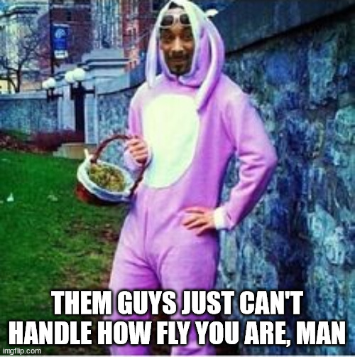 Snoop Dogg in a Bunny Suit | THEM GUYS JUST CAN'T HANDLE HOW FLY YOU ARE, MAN | image tagged in snoop dogg in a bunny suit | made w/ Imgflip meme maker