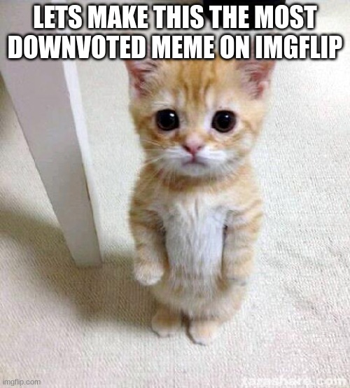 cat | LETS MAKE THIS THE MOST DOWNVOTED MEME ON IMGFLIP | image tagged in memes,cute cat | made w/ Imgflip meme maker