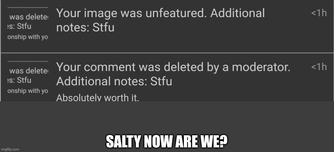 SALTY NOW ARE WE? | made w/ Imgflip meme maker