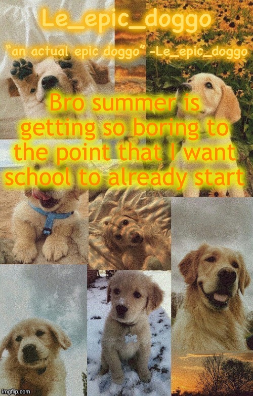 Doggo temp by doggo. Wait what that’s confusing | Bro summer is getting so boring to the point that I want school to already start | image tagged in doggo temp by doggo wait what that s confusing | made w/ Imgflip meme maker