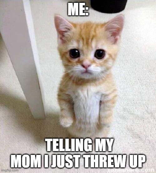 *inserts epic title* | ME:; TELLING MY MOM I JUST THREW UP | image tagged in memes,cute cat | made w/ Imgflip meme maker