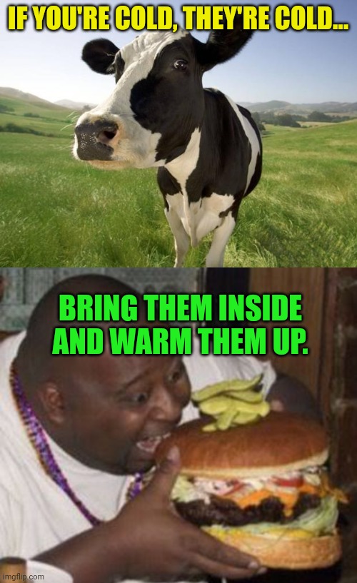 IF YOU'RE COLD, THEY'RE COLD... BRING THEM INSIDE AND WARM THEM UP. | image tagged in cow,weird-fat-man-eating-burger | made w/ Imgflip meme maker