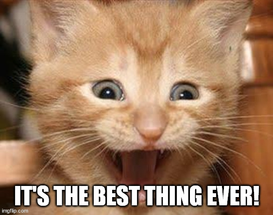 Excited Cat Meme | IT'S THE BEST THING EVER! | image tagged in memes,excited cat | made w/ Imgflip meme maker