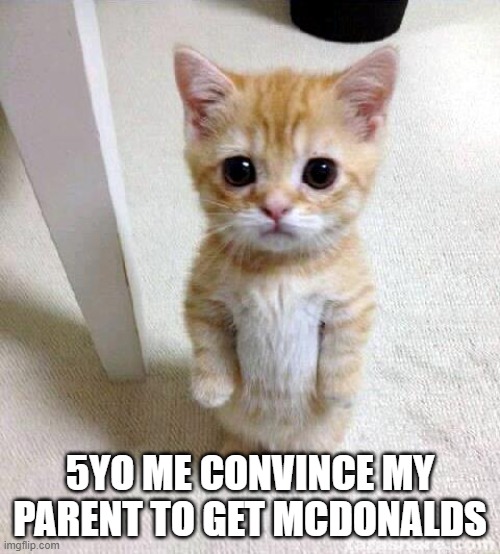 lol | 5YO ME CONVINCE MY PARENT TO GET MCDONALDS | image tagged in memes,cute cat | made w/ Imgflip meme maker