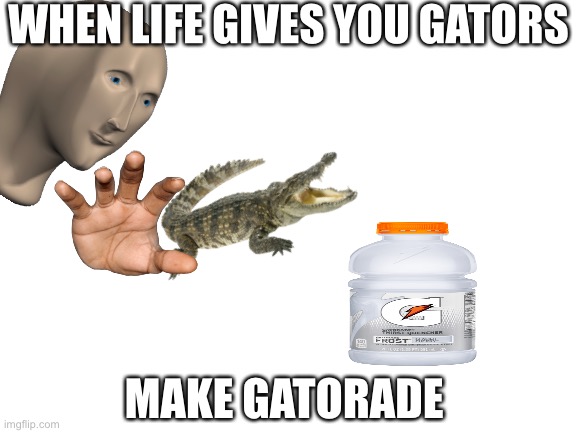 Blank White Template | WHEN LIFE GIVES YOU GATORS; MAKE GATORADE | image tagged in blank white template | made w/ Imgflip meme maker