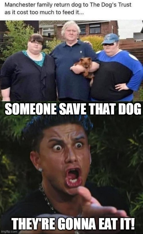 MAYBE THEY SHOULD JUST SHARE SOME OF THEIR OWN FOOD |  SOMEONE SAVE THAT DOG; THEY'RE GONNA EAT IT! | image tagged in memes,dj pauly d,fail,stupid people,dogs | made w/ Imgflip meme maker