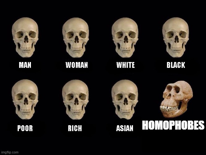 Homophobes suck |  HOMOPHOBES | image tagged in empty skulls of truth | made w/ Imgflip meme maker