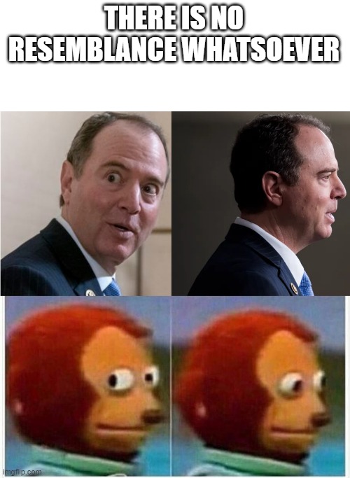 THERE IS NO RESEMBLANCE WHATSOEVER | image tagged in monkey puppet schiff,memes,monkey puppet | made w/ Imgflip meme maker