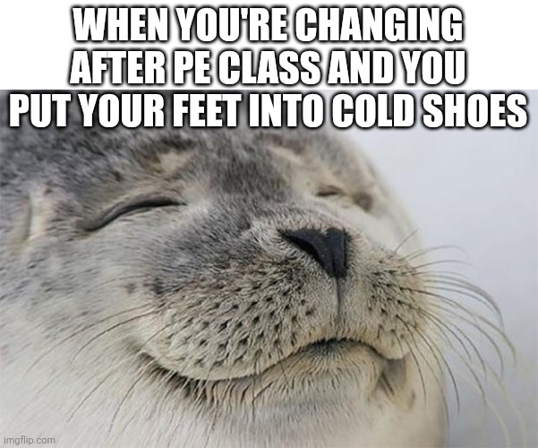 Relatable | WHEN YOU'RE CHANGING AFTER PE CLASS AND YOU PUT YOUR FEET INTO COLD SHOES | image tagged in memes,satisfied seal | made w/ Imgflip meme maker