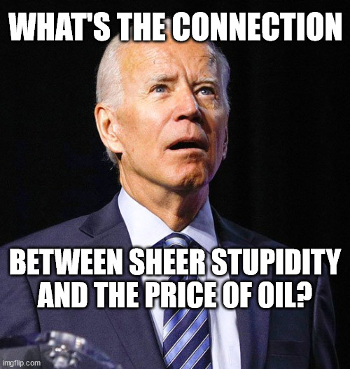 Joe Biden |  WHAT'S THE CONNECTION; BETWEEN SHEER STUPIDITY AND THE PRICE OF OIL? | image tagged in joe biden | made w/ Imgflip meme maker