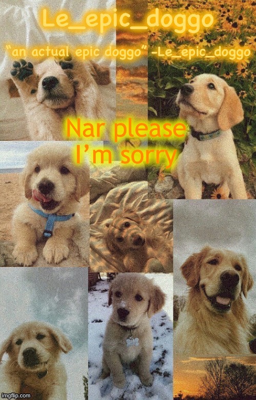 :( | Nar please I’m sorry | image tagged in doggo temp by doggo wait what that s confusing | made w/ Imgflip meme maker