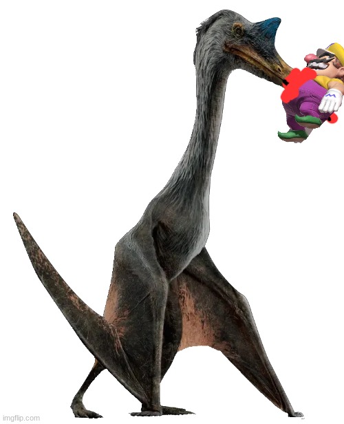 Wario gets impaled by a Quetzalcoatlus Beak.mp3 | image tagged in quetzalcoatlus,wario dies,wario,jurassic park,jurassic world,dinosaur | made w/ Imgflip meme maker