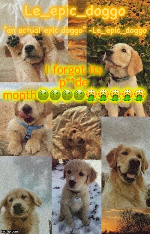 Doggo temp by doggo. Wait what that’s confusing | I forgot its p**de month🤢🤢🤢🤢🤮🤮🤮🤮🤮 | image tagged in doggo temp by doggo wait what that s confusing | made w/ Imgflip meme maker