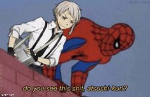 do you see this shit atsushi-kun? | image tagged in do you see this shit atsushi-kun | made w/ Imgflip meme maker