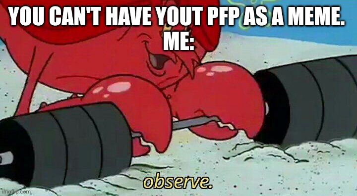 Observe | YOU CAN'T HAVE YOUT PFP AS A MEME. 
ME: | image tagged in observe | made w/ Imgflip meme maker