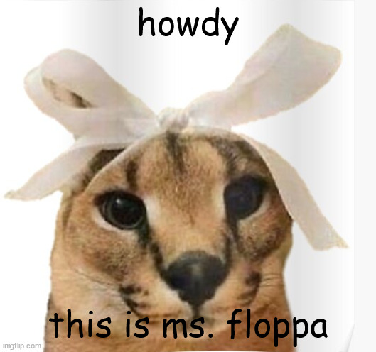 you're gonna scroll by without saying howdy? | howdy; this is ms. floppa | image tagged in miss floppa | made w/ Imgflip meme maker