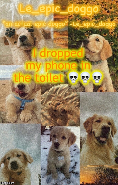 Doggo temp by doggo. Wait what that’s confusing | I dropped my phone in the toilet 💀💀💀 | image tagged in doggo temp by doggo wait what that s confusing | made w/ Imgflip meme maker