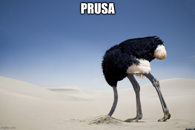 Ostrich head in sand | PRUSA | image tagged in ostrich head in sand | made w/ Imgflip meme maker