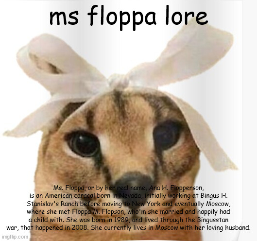 Miss Floppa | ms floppa lore; Ms. Floppa, or by her real name, Ana H. Flopperson, is an American caracal born in Nevada, initially working at Bingus H. Stanislav's Ranch before moving to New York and eventually Moscow, where she met Floppa M. Flopson, who'm she married and happily had a child with. She was born in 1989, and lived through the Bingusstan war, that happened in 2008. She currently lives in Moscow with her loving husband. | image tagged in miss floppa | made w/ Imgflip meme maker