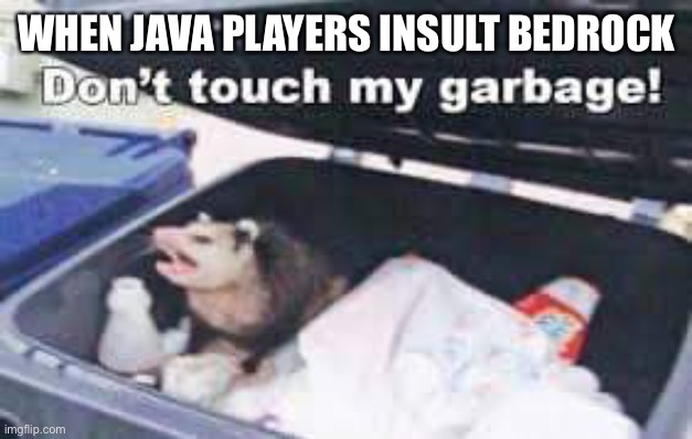 Someone who playes bedrock | WHEN JAVA PLAYERS INSULT BEDROCK | image tagged in dumpster possum | made w/ Imgflip meme maker