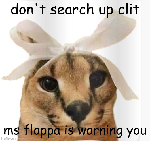 seriously don't | don't search up clit; ms floppa is warning you | image tagged in miss floppa | made w/ Imgflip meme maker