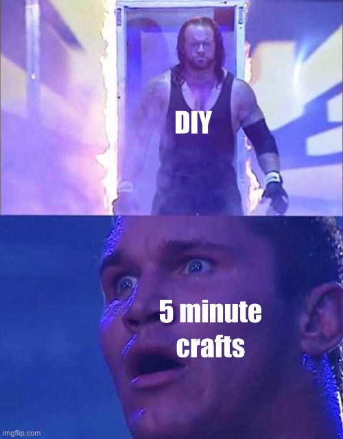 DIYs we’re definitely better than 5-minute crafts, amirite? | image tagged in diy,wrestling | made w/ Imgflip meme maker