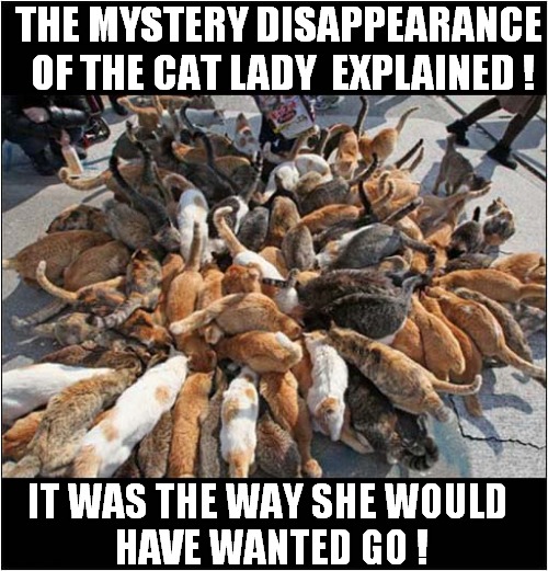 When Cats Attack ! | THE MYSTERY DISAPPEARANCE
 OF THE CAT LADY  EXPLAINED ! IT WAS THE WAY SHE WOULD
 HAVE WANTED GO ! | image tagged in cats,cat lady,smothering,mystery | made w/ Imgflip meme maker