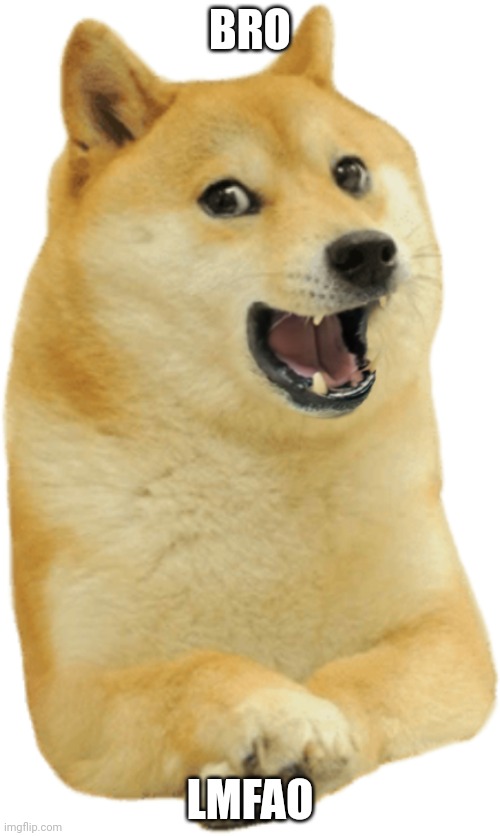 Doge laughing | BRO LMFAO | image tagged in doge laughing | made w/ Imgflip meme maker