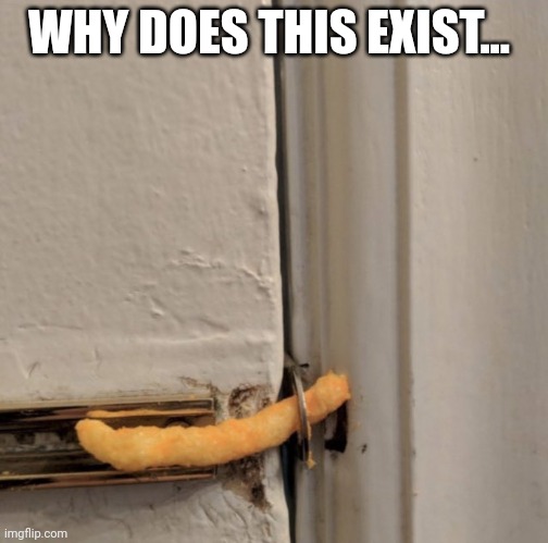 Cheetos Door Lock |  WHY DOES THIS EXIST... | image tagged in cheetos door lock | made w/ Imgflip meme maker