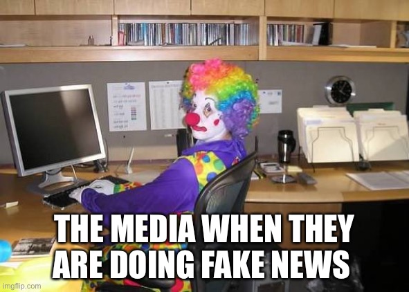 Newz | THE MEDIA WHEN THEY ARE DOING FAKE NEWS | image tagged in how yall mfs look,media,fake news | made w/ Imgflip meme maker