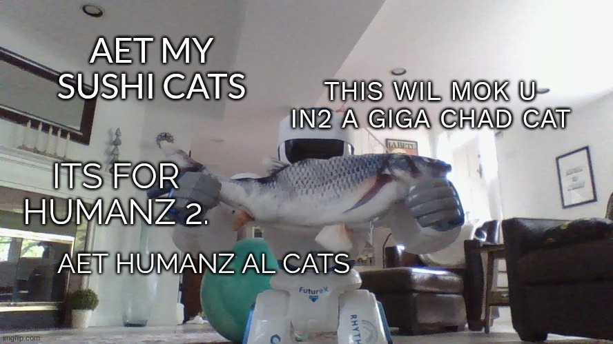 sushi bet | THIS WIL MOK U IN2 A GIGA CHAD CAT; AET MY SUSHI CATS; ITS FOR HUMANZ 2. AET HUMANZ AL CATS | image tagged in sushi robot | made w/ Imgflip meme maker