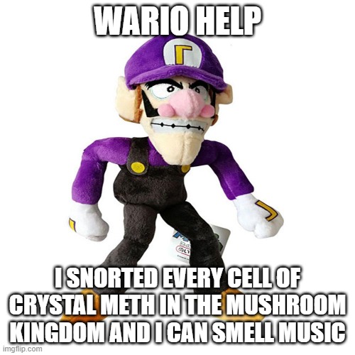 WARIO HELP; I SNORTED EVERY CELL OF CRYSTAL METH IN THE MUSHROOM KINGDOM AND I CAN SMELL MUSIC | made w/ Imgflip meme maker