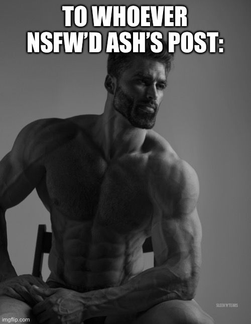 dear anonymous mod: this u? | TO WHOEVER NSFW’D ASH’S POST: | image tagged in giga chad | made w/ Imgflip meme maker