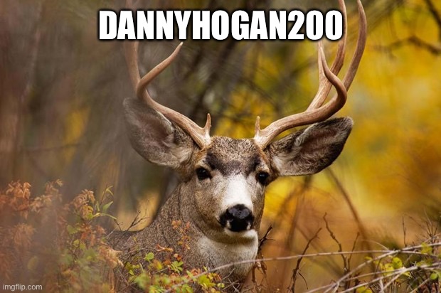 deer meme | DANNYHOGAN200 | image tagged in deer meme | made w/ Imgflip meme maker