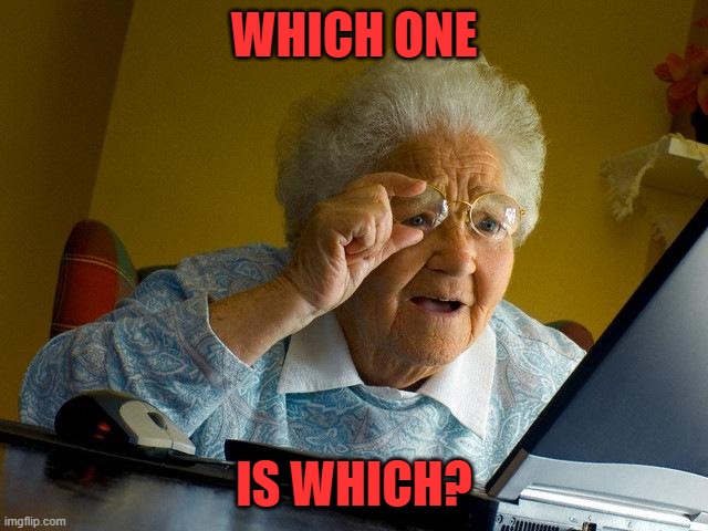 Grandma Finds The Internet Meme | WHICH ONE IS WHICH? | image tagged in memes,grandma finds the internet | made w/ Imgflip meme maker