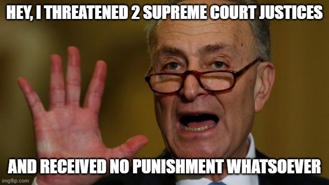 Chuck Schumer | HEY, I THREATENED 2 SUPREME COURT JUSTICES AND RECEIVED NO PUNISHMENT WHATSOEVER | image tagged in chuck schumer | made w/ Imgflip meme maker