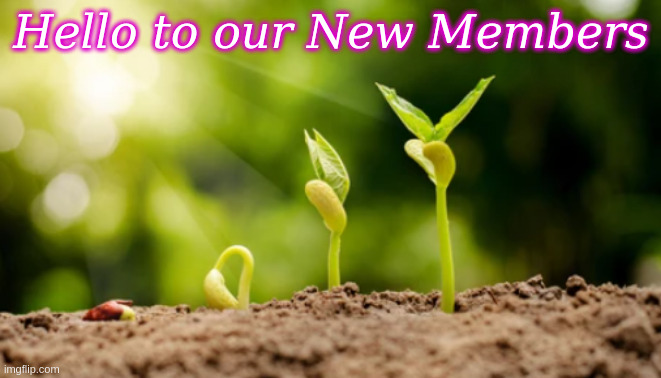 Hello to our New Members | Hello to our New Members | image tagged in seed background,seeds,seedlings | made w/ Imgflip meme maker