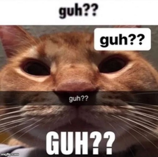 Dumb Cat Meme Face / Pfp